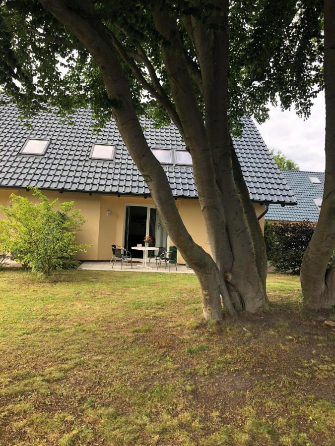 Ferienwohnung 'Bei Den Buchen' Цемпин Экстерьер фото